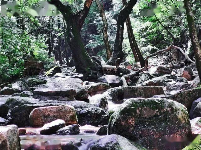 沪江开心词场